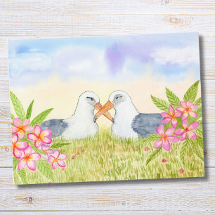 Laysan Albatross med rosa Plumeria Vykort