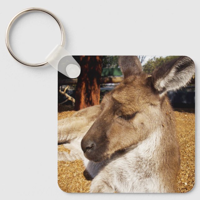 Lazing Kangaroo Close Up, Nyckelring (Framsida)