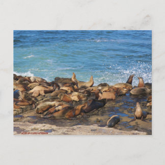 Lazing On A Sunny Afternoon Vykort