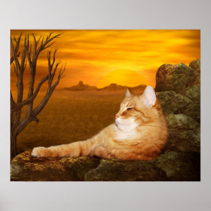 Lazingkatt Poster