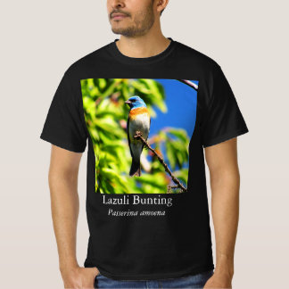 Lazuli fink t-shirt