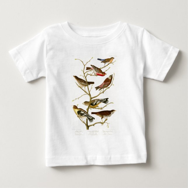LazuliFinchJohn James Audubon fåglar av Amerika Tee Shirt (Framsida)