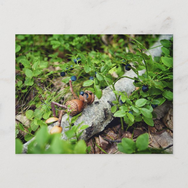 Lazy Acorn elf äter blåbär Vykort (Framsida)