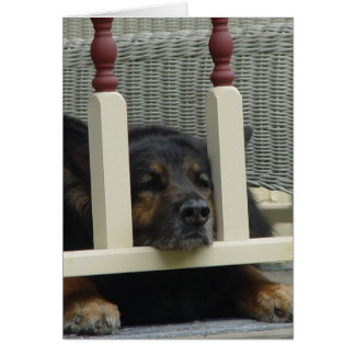 Lazy Aeftermiddagen Snooze OBS Kort