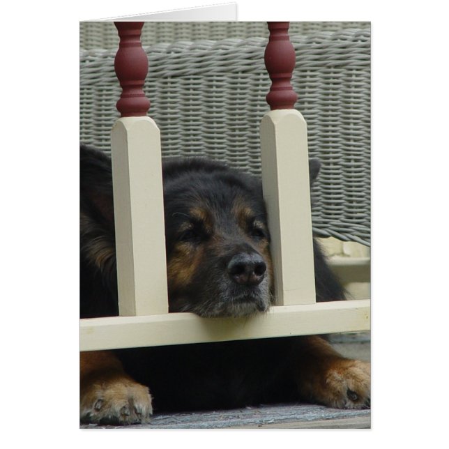 Lazy Aeftermiddagen Snooze OBS Kort (Framsidan)