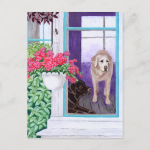 Lazy Aftermiddag Labradors Painting Vykort