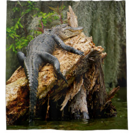 Lazy Alligator Shower Curtain av De Gruy