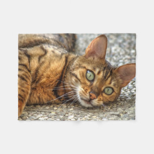 Lazy Bengal Cat Fleecefilt