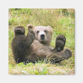 Lazy Brown Bear Magnet