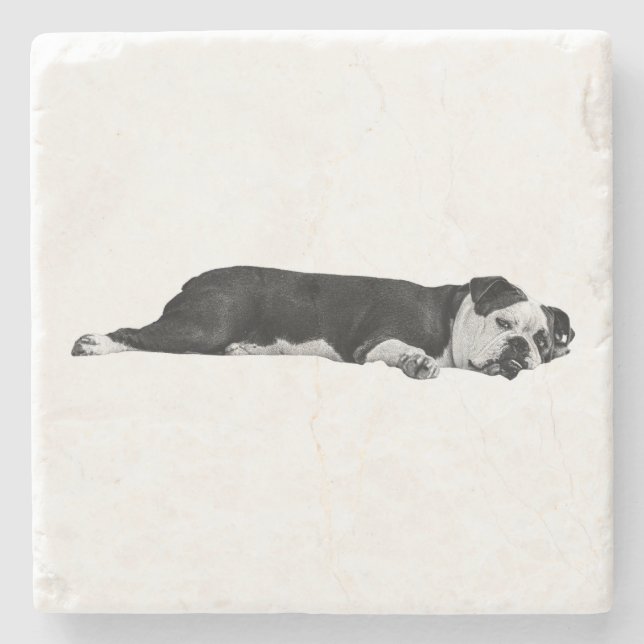 Lazy Bulldog, Neat Bord Stenunderlägg (Framsidan)