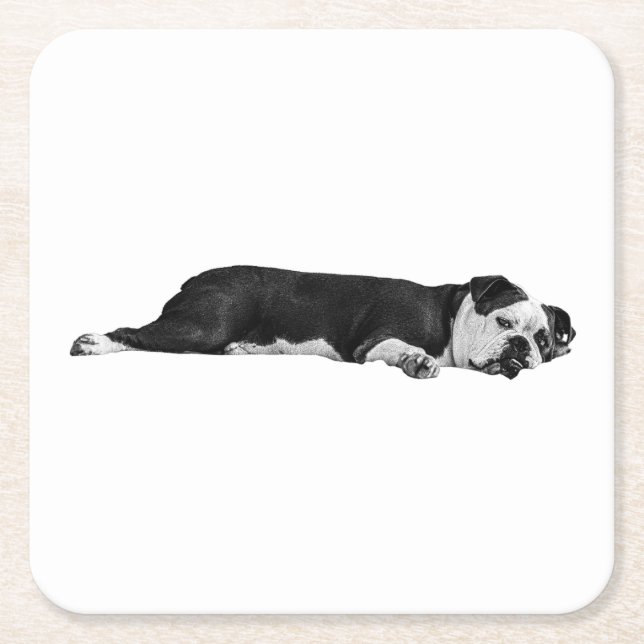 Lazy Bulldog, Neat Bord Underlägg Papper Kvadrat (Framsidan)