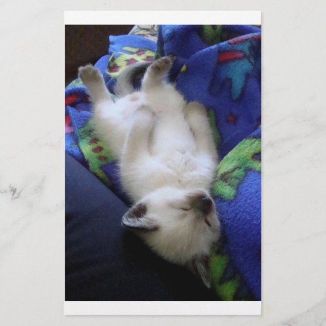 Lazy Cat (Framsida)