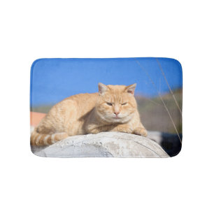 Lazy cat badrumsmatta