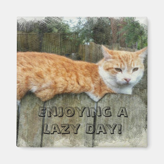 Lazy Cat Magnet (Framsidan)