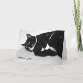 Lazy cat-tack-kort tack kort