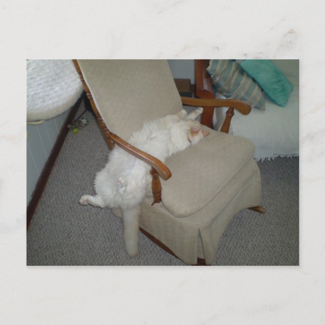 Lazy Cat Vykort (Framsida)