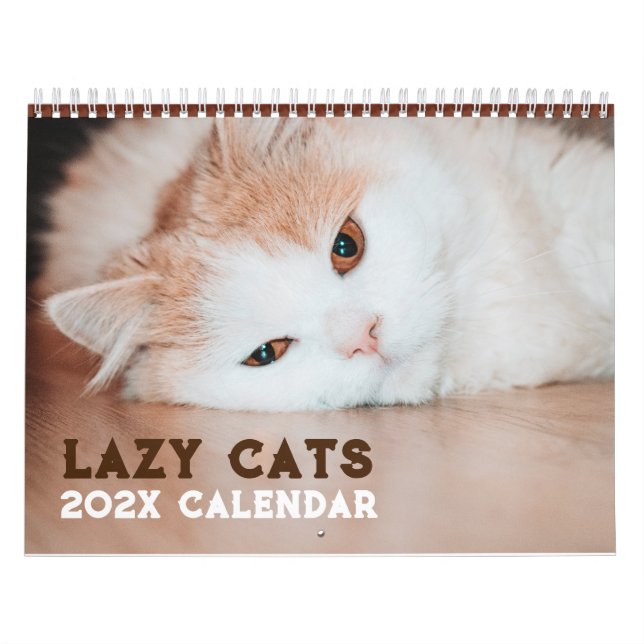 Lazy Cats 2026 Kalender (Omslag)