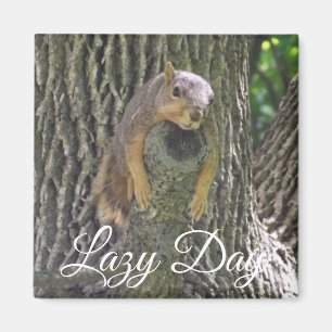 Lazy Day Funny Squirrel sover i Träd Magnet
