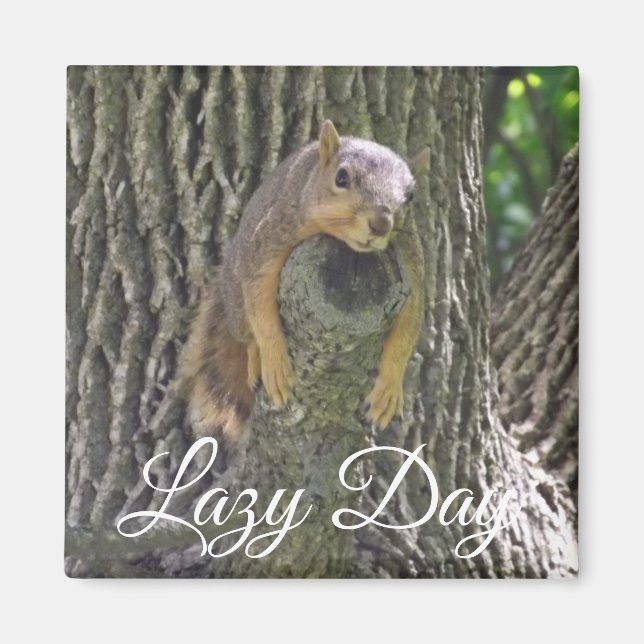 Lazy Day Funny Squirrel sover i Träd Magnet (Framsidan)
