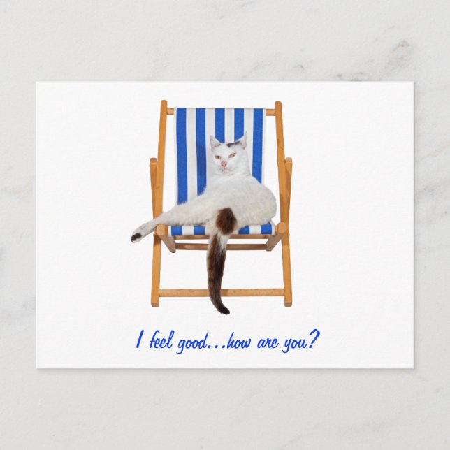 Lazy Day`S Vykort (Framsida)