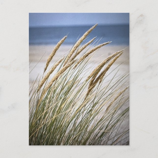 Lazy day vid Beach Vykort (Framsida)