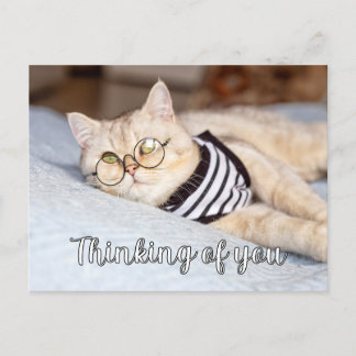 Lazy Days - Cute Kattunge Vykort