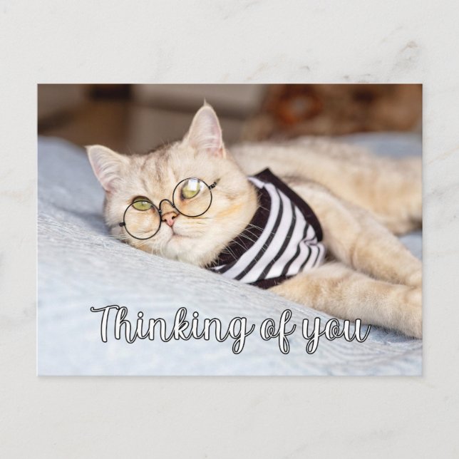 Lazy Days - Cute Kattunge Vykort (Framsida)