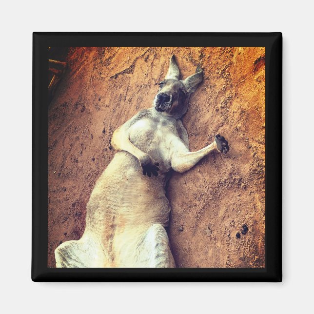 Lazy Days Kangaroo Magnet (Framsidan)