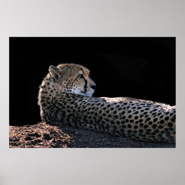 Lazy Days Poster (Framsidan)