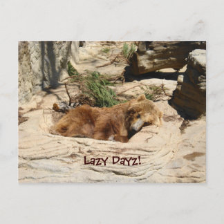 Lazy Dayz Bear Vykort