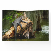 Lazy Gator 4 x 6'-banderoll