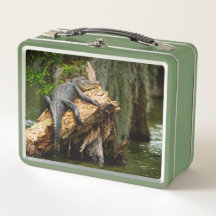 Lazy Gator Cypress Swamp Lunch Box av De Gruy