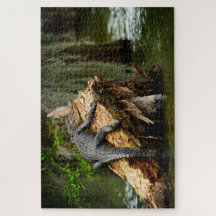 Lazy Gator Jigszle Puzzle