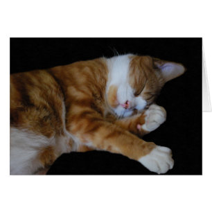 Lazy Ginger Cat Hälsningskort