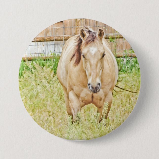 Lazy God Knapp (Framsida)