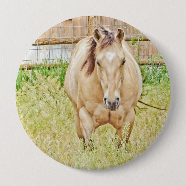 Lazy God Knapp (Framsida)