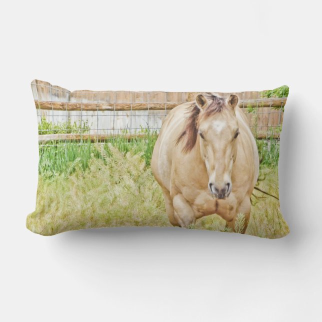 Lazy God Lumbarkudde (Framsida)