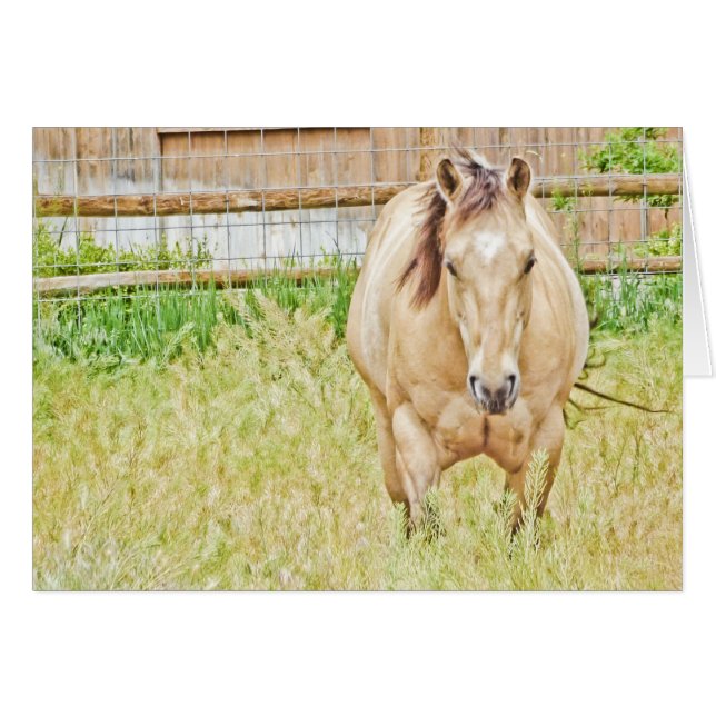 Lazy God OBS Kort (Framsidan Horizontal)