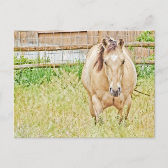 Lazy God Vykort (Framsida)