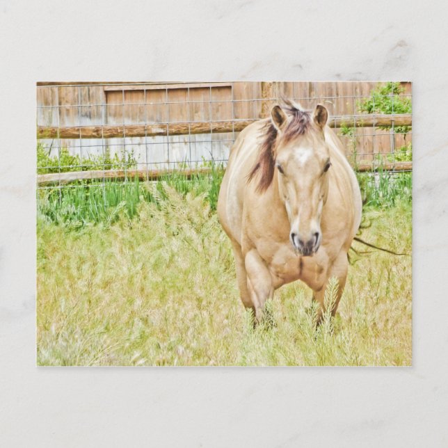 Lazy God Vykort (Framsida)