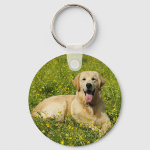 Lazy Golden Nyckelring