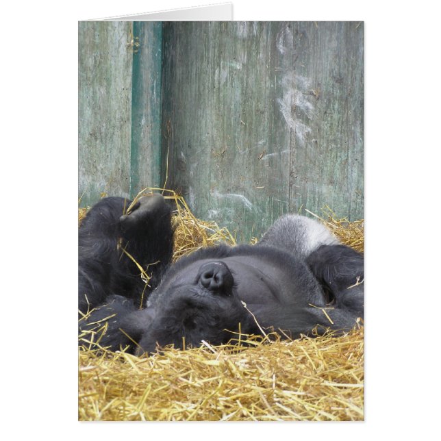 Lazy Gorilla Card Hälsningskort (Framsidan)