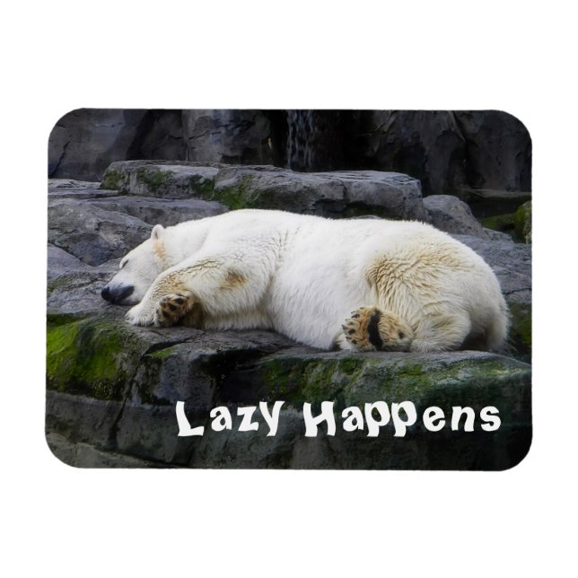 Lazy Happens Polar Bear Magnet (Horisontell)