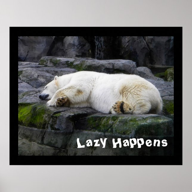 Lazy Happens Polar Bear Poster (Framsidan)