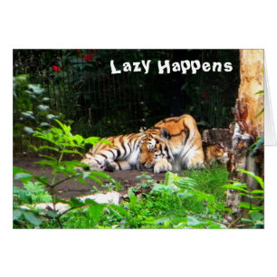 Lazy Happens Siberian Tiger Hälsningskort