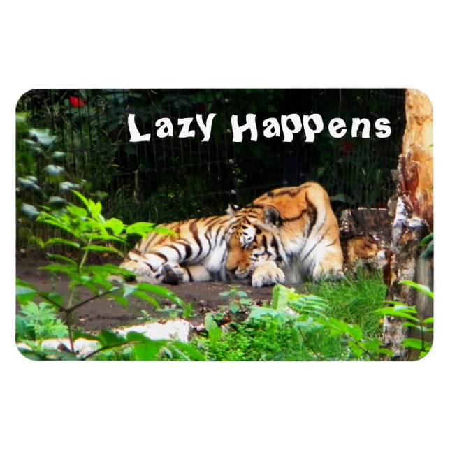 Lazy Happens Siberian Tiger Magnet (Horisontell)