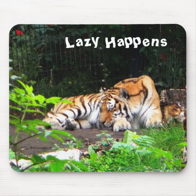 Lazy Happens Siberian Tiger Musmatta (Framsidan)
