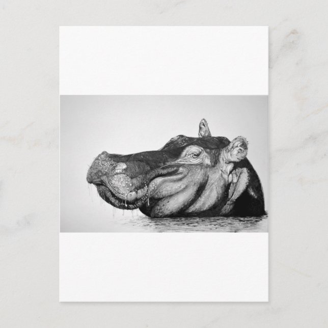 Lazy Hippo Vykort (Framsida)