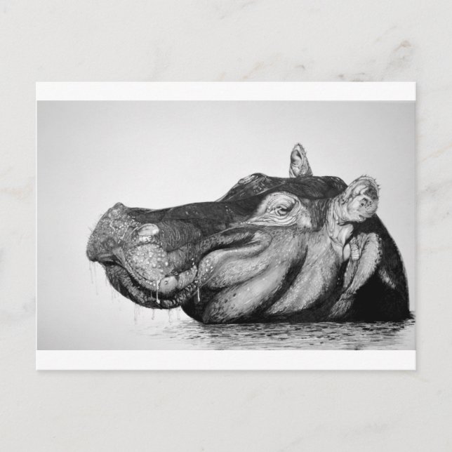 Lazy Hippo Vykort (Framsida)