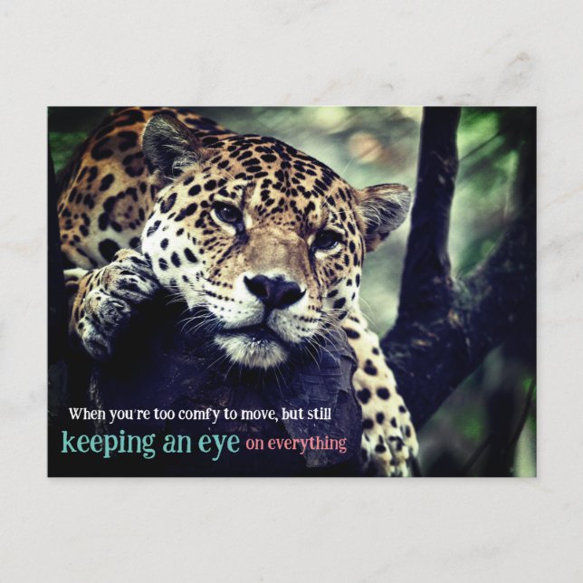 Lazy jaguar i träd-foto helg vykort (Framsida)